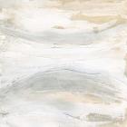 Toned Texture V