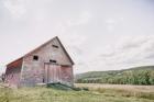 Barn With a View