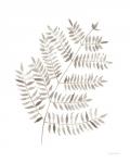 Woodland Fern Khaki