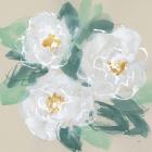 Peonies on Cream I