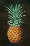 Vintage Pineapple II
