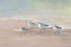 Shorebirds on the Sand I