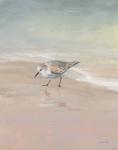 Shorebirds on the Sand III