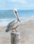 Pelican by the Sea
