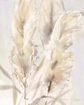 Light Pampas Grasses II