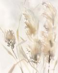 Light Pampas Grasses III