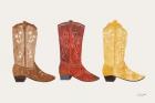 Western Cowgirl Boot VII