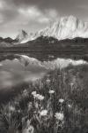 Pronghorn and Dragon Head Peaks BW