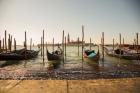 Venice Gondolas