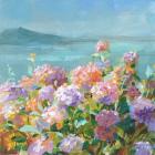 Beach Hydrangeas