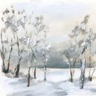Snowy Winter Trees