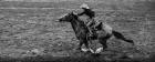 Rodeo II BW