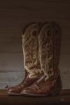 Cowboy Boots VIII