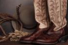 Cowboy Boots XI