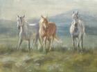 Rangeland Horses