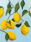 Lemon Tree