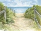 Cap Cod Path