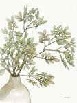 Potted Leaves I