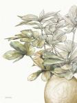 Potted Leaves II
