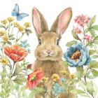 Garden Bunnies II