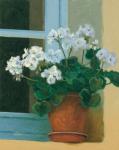 Creancey Geraniums II