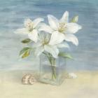 Lilies and Shells