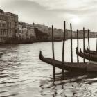 Campo di Salute Venezia