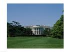 Lawn at the White House, Washington, D.C., USA