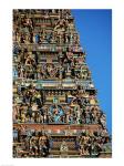 Carvings on a temple, Sri Meenakshi Hindu Temple, Chennai, Tamil Nadu, India