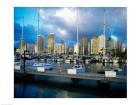 Sailboats docked in a harbor, Ala Wai Marina, Waikiki Beach, Honolulu, Oahu, Hawaii, USA