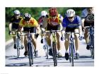 Group of cyclists riding bicycles