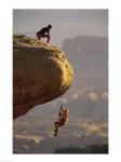 View of rock climbers on the edge of a cliff