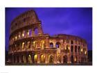 Low angle view of a coliseum lit up at night, Colosseum, Rome, Italy