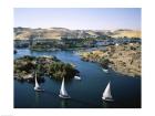 Sailboats in a river, Nile River, Aswan, Egypt