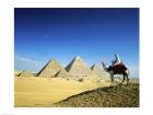 Man riding a camel near the pyramids, Giza, Egypt