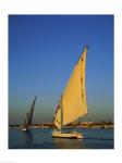 Sailboats sailing in a river, Nile River, Luxor, Egypt