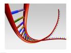 Close-up of a human DNA structure