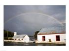 Rainbow over a cottage, Cloonee Lakes, County Kerry, Munster Province, Ireland