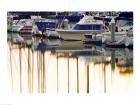 USA, California, Santa Barbara, boats in marina at sunrise