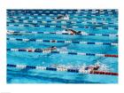 High angle view of people swimming in a swimming pool, International Swimming Hall of Fame, Fort Lauderdale, Florida, USA