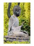 USA, California, San Francisco, Golden Gate Park, Buddha Statue