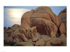 Boulders at sunrise, Joshua Tree National Monument, California, USA