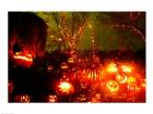 Jack o' lanterns lit up at night, Roger Williams Park Zoo, Providence, Rhode Island, USA