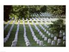 Arlington National Cemetery Arlington Virginia USA