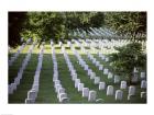 Arlington National Cemetery Arlington Virginia USA