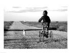 Rear view of a girl riding a bicycle