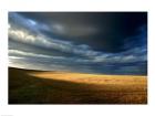 Storm clouds over a landscape, Eyre Peninsula, Australia