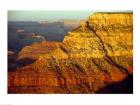 Grand Canyon National Park  Arizona USA