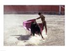 Matador fighting with a bull, Spain