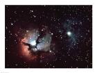 Triffid Nebula In Sagitarius